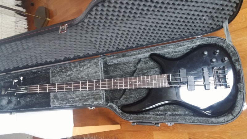 Ibanez.jpg